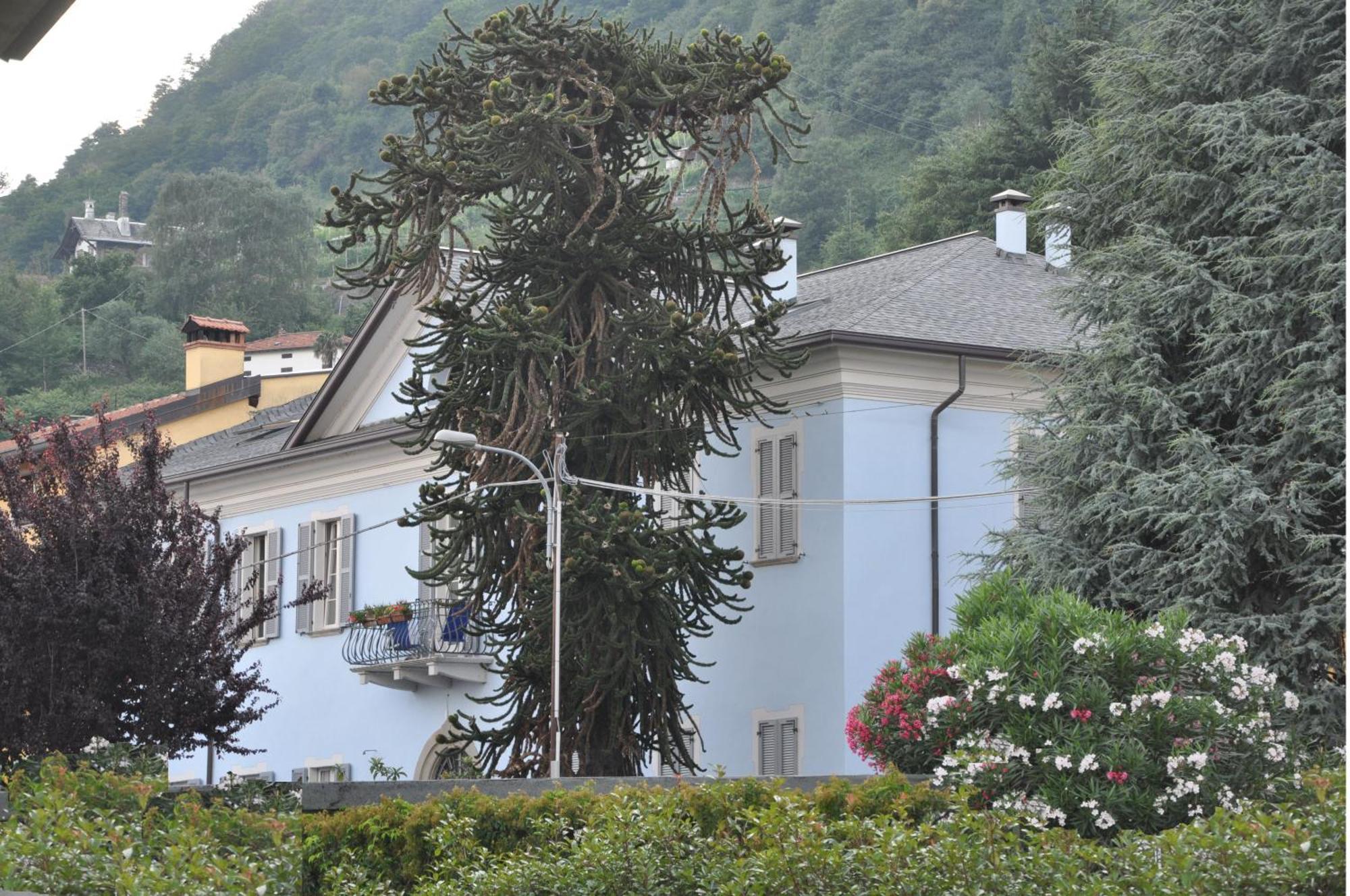 Villa Annamaria B&B Domaso Exterior photo